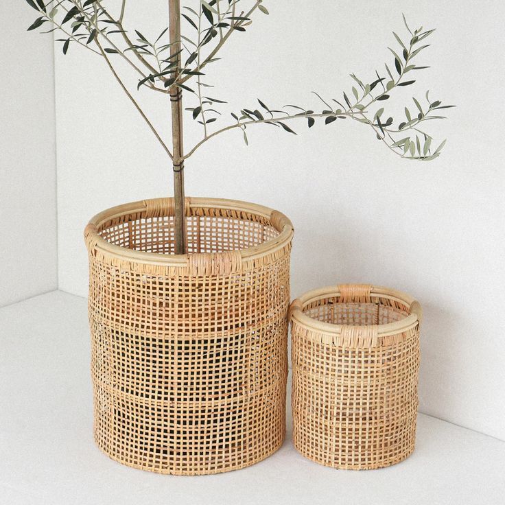 RAP 012 - RATTAN PLANTER