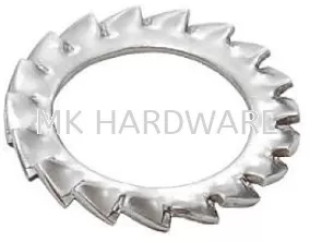 CSK EXT OVERLAP LOCK WASHER