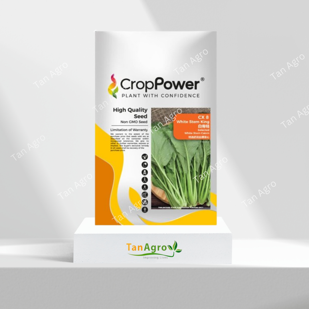Crop Power seed Caixin White Stem King CX8 500gm