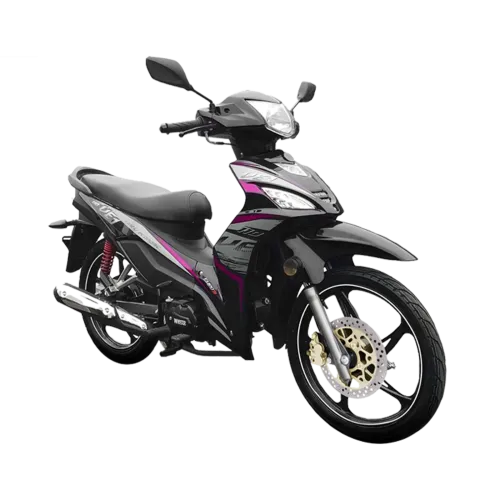 WMOTO VE1-R