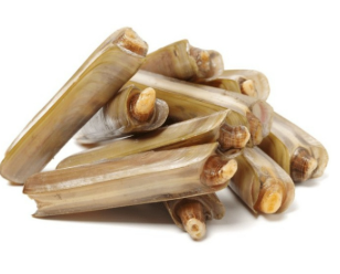Kerang Bamboo