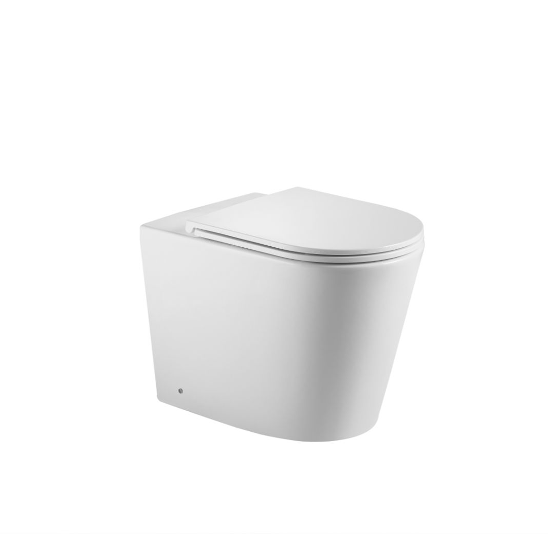 D2301-P Back To Wall Ceramic Toilet Bowl
