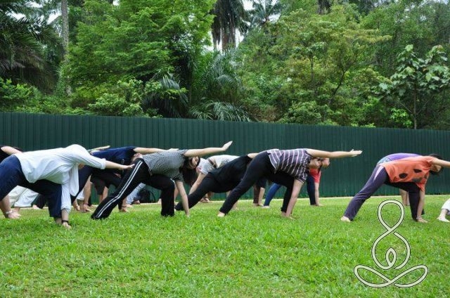 YOGA OUTING