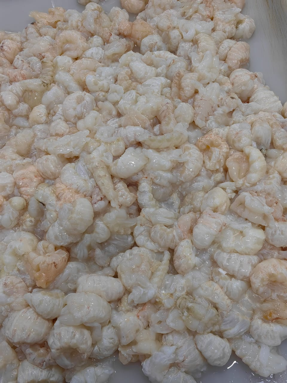 虾婆肉 udang Kipas ISI
