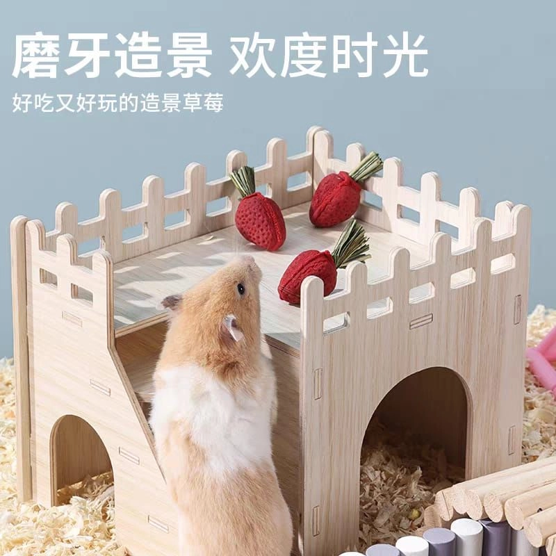 Hamster snack molar carrot mini carrot / mini strawberry / pumpkin Hamster Dental chew仓鼠造景磨牙小萝卜 小草莓 仓鼠磨牙南瓜