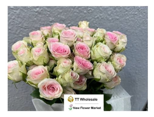 Fresh Rose Spray for Sale | Buy Fresh Flower Online