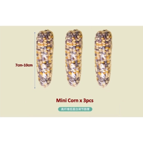 Mini Corn（3 Pcs）