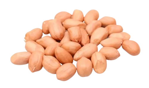 KACANG TANAH