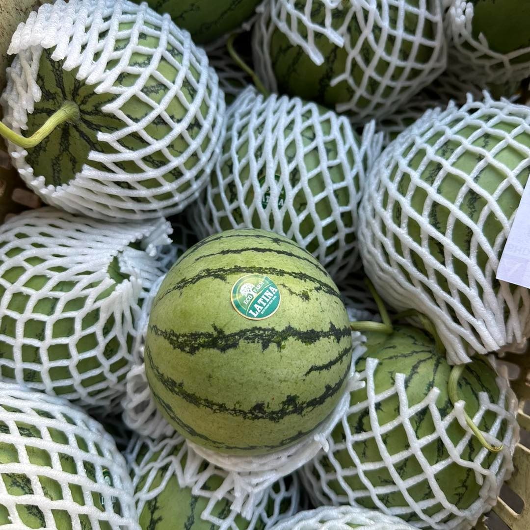 Local Watermelon Mini