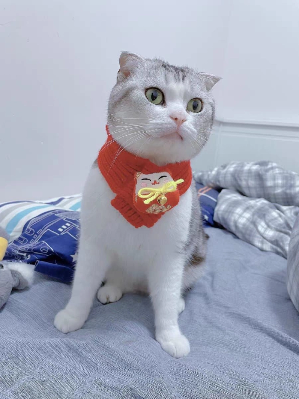 Pet Chinese New Year Knitted Scarf Pet Warm Collar Dog CNY Scarf Collar Pet Scarf 宠物狗狗猫咪项圈新年围脖针织围巾 宠物新年围巾