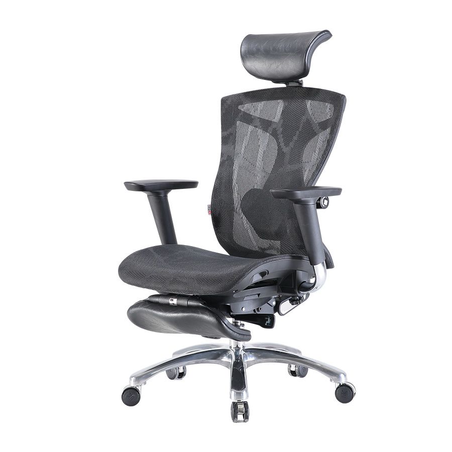 V1 Ergonomic Office Chair