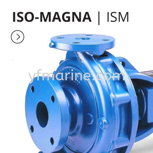 Monoflo ISM Series (ISO Standard) End Suction Pump