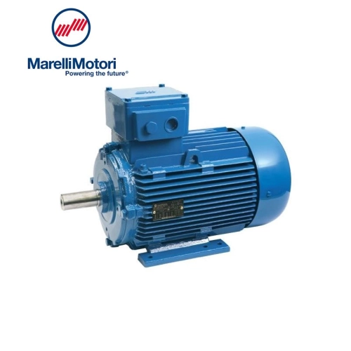 MarelliMotori Flameproof Motors