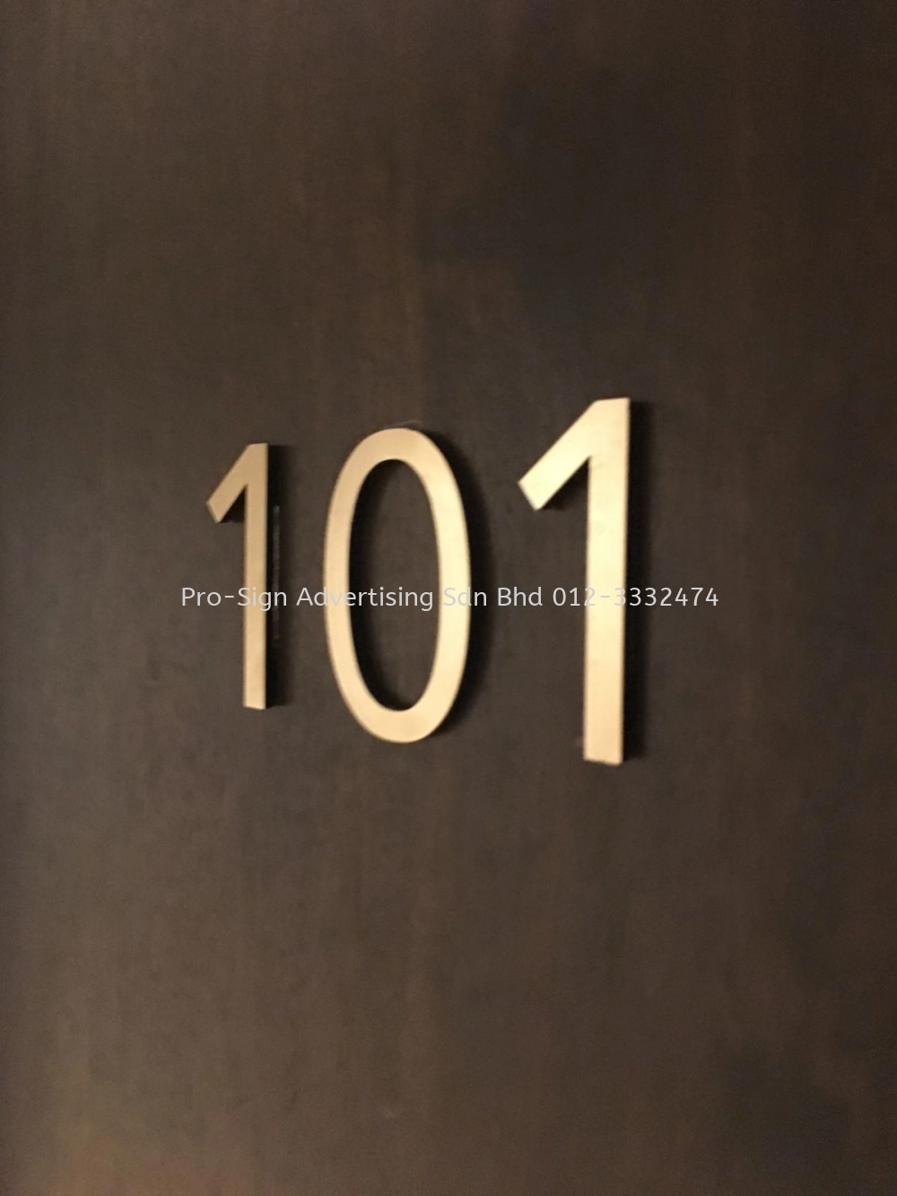 GOLD HAIRLINE STAINLESS STEEL NUMBERING (HEXA HOTEL, KL, 2019)