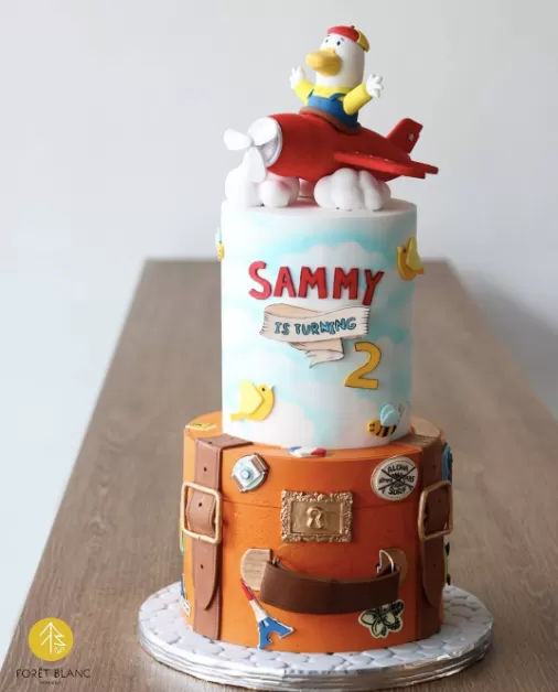 Flying Duck Aeroplane Cake