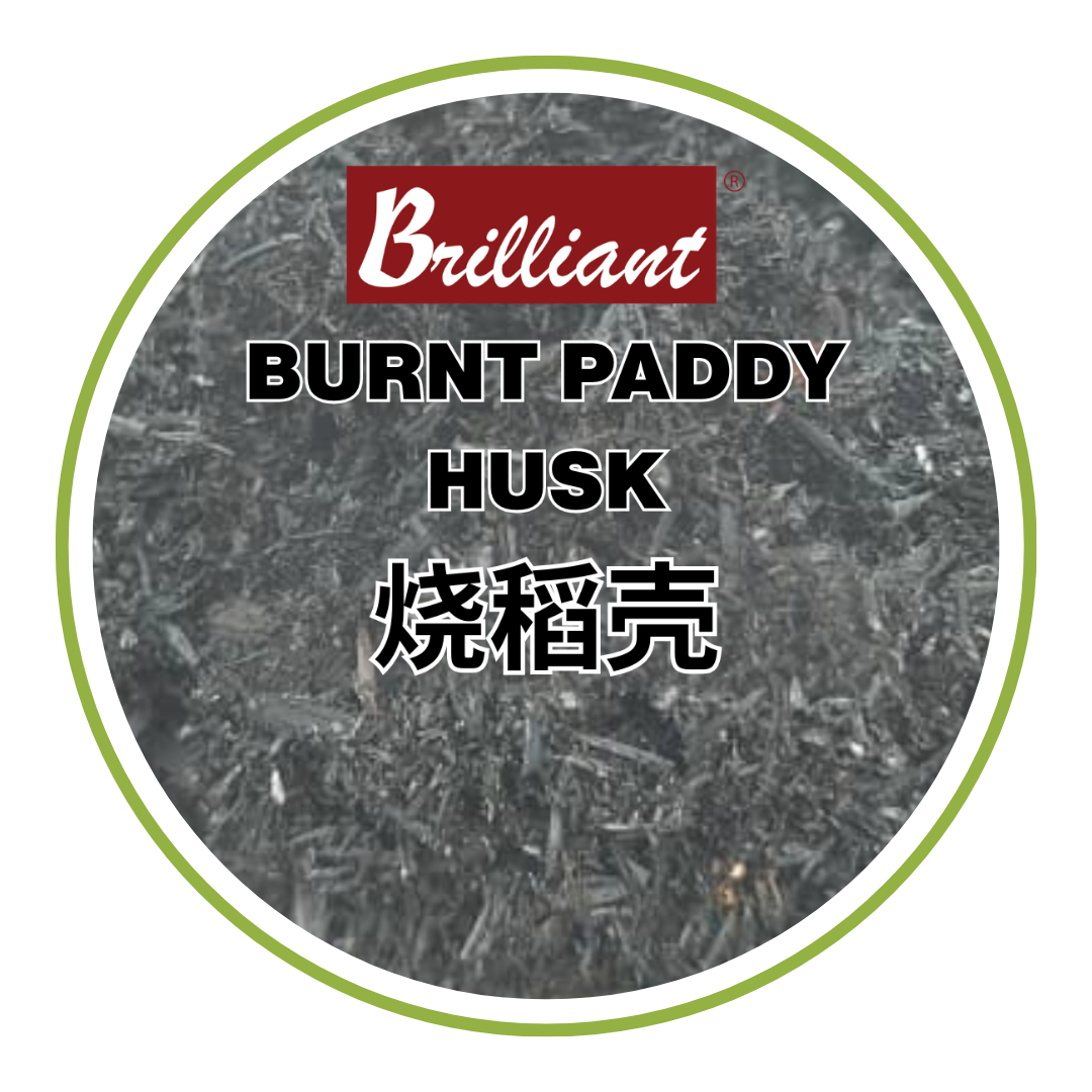 Burnt Paddy Husk 烧稻壳