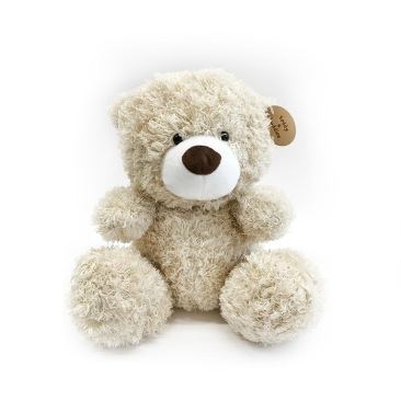Soft Toy, Teddy Bear TB10023