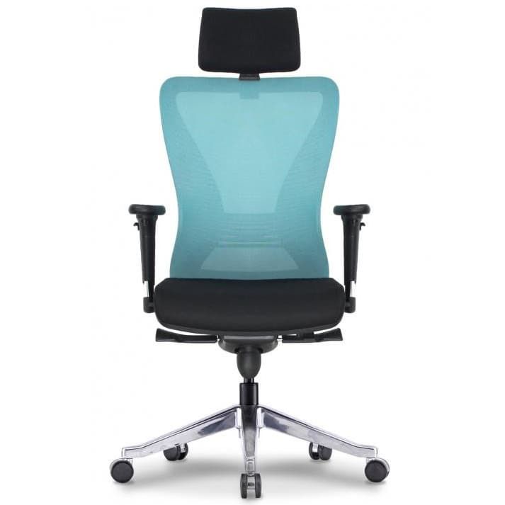 Attractive Highback Office Chair Type B OFC30791B
