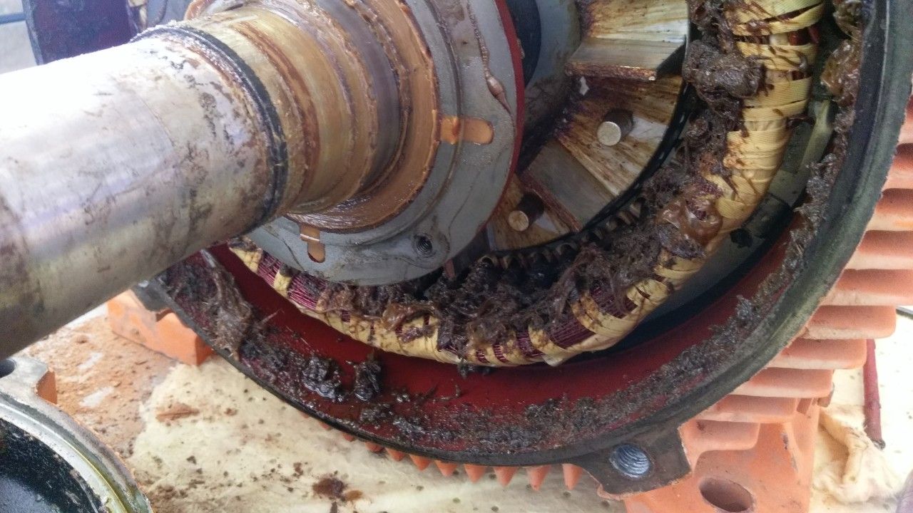 Electric Motor Bearing Grease Condition Check