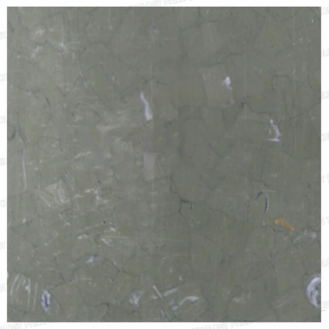 ESD PVC Tiles NS-6624