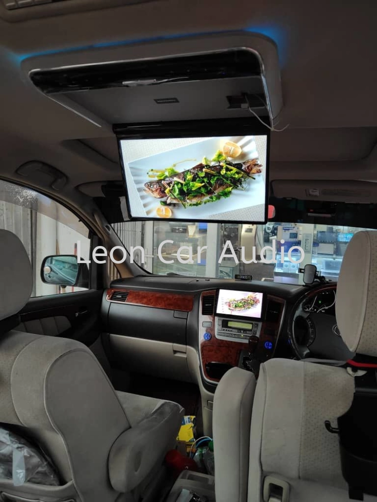 Toyota Alphard ANH10 14" fhd hdmi usb mp4 roof led monitor