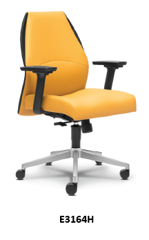 Low Back Chair (E3164H)
