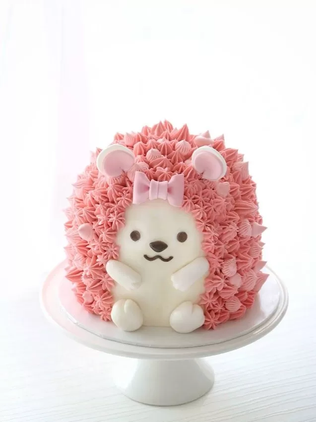 Ms Hedgehog Cake