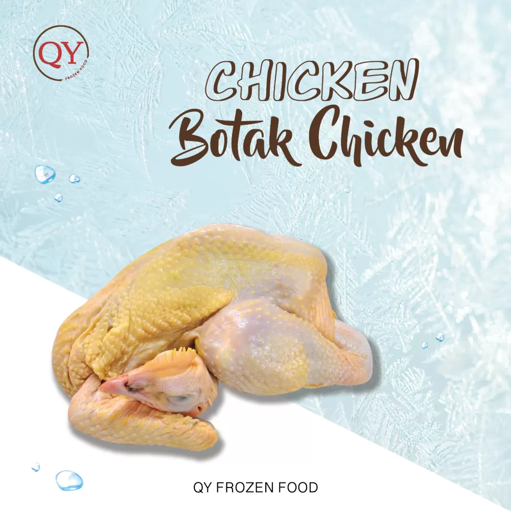 Botak Chicken【1.6KG-1.8KG+-】