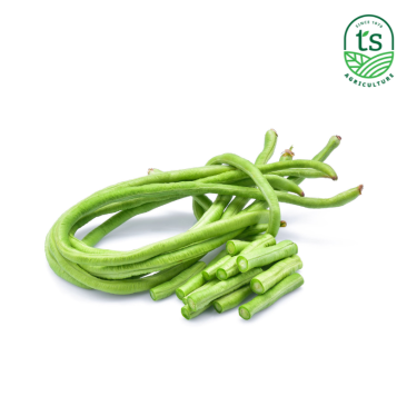 Long Bean 长豆 10kg/ctn