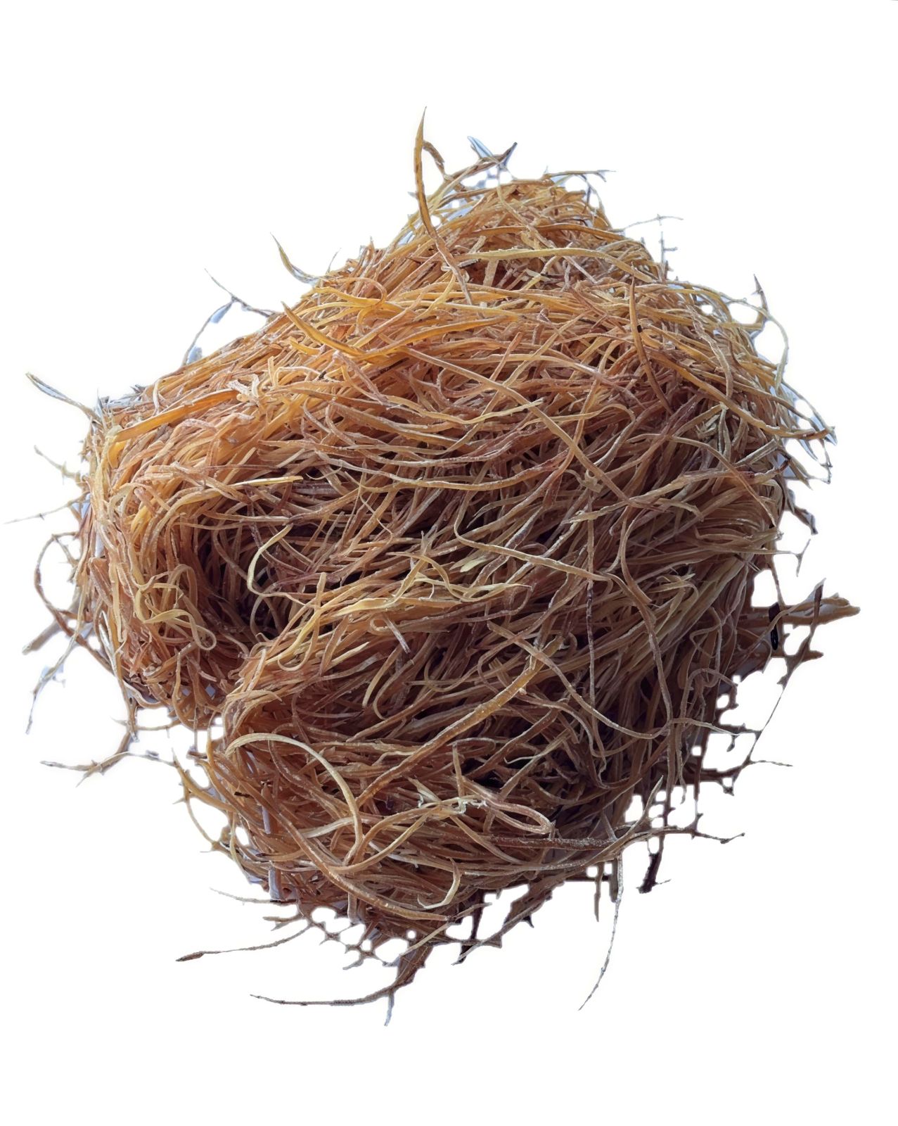 Sotong Potong 鱿鱼丝