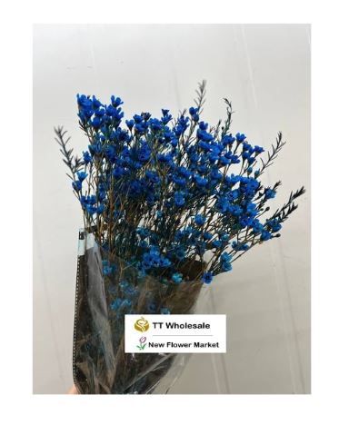 Fresh Wax Flower Stems | Delicate Filler Flowers for Sale