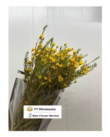 Wholesale Wax Flower | Wedding Bouquet Filler Flowers