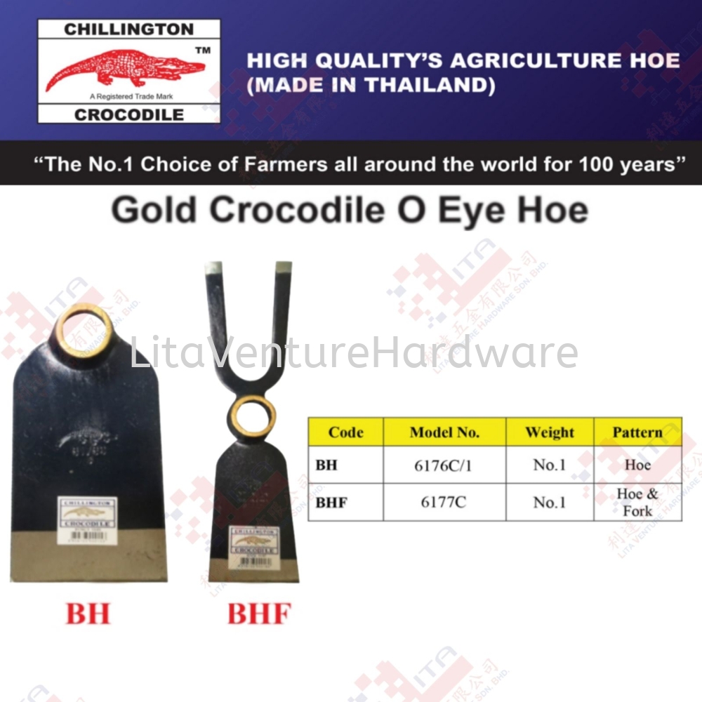 CHILLINGTON BRAND GOLD CROCODILE O EYE HOE - BH BHF