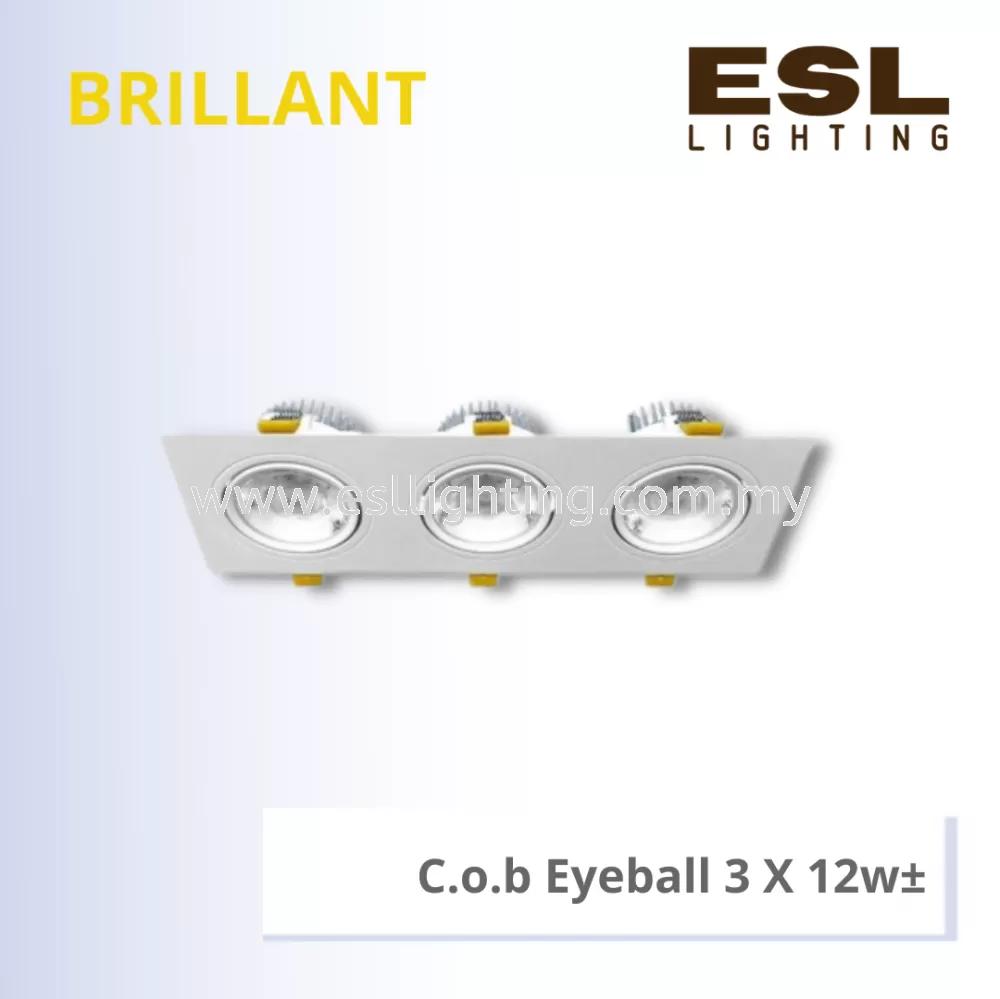 BRILLANT C.o.b Eyeball 3 X 12w - BSL-001-SQ-3X12W