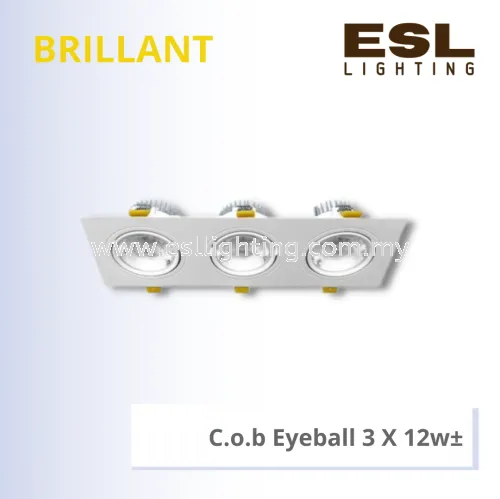 BRILLANT C.o.b Eyeball 3 X 12w - BSL-001-SQ-3X12W