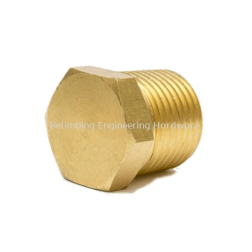 Brass Plug