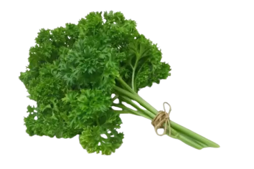 Parsley