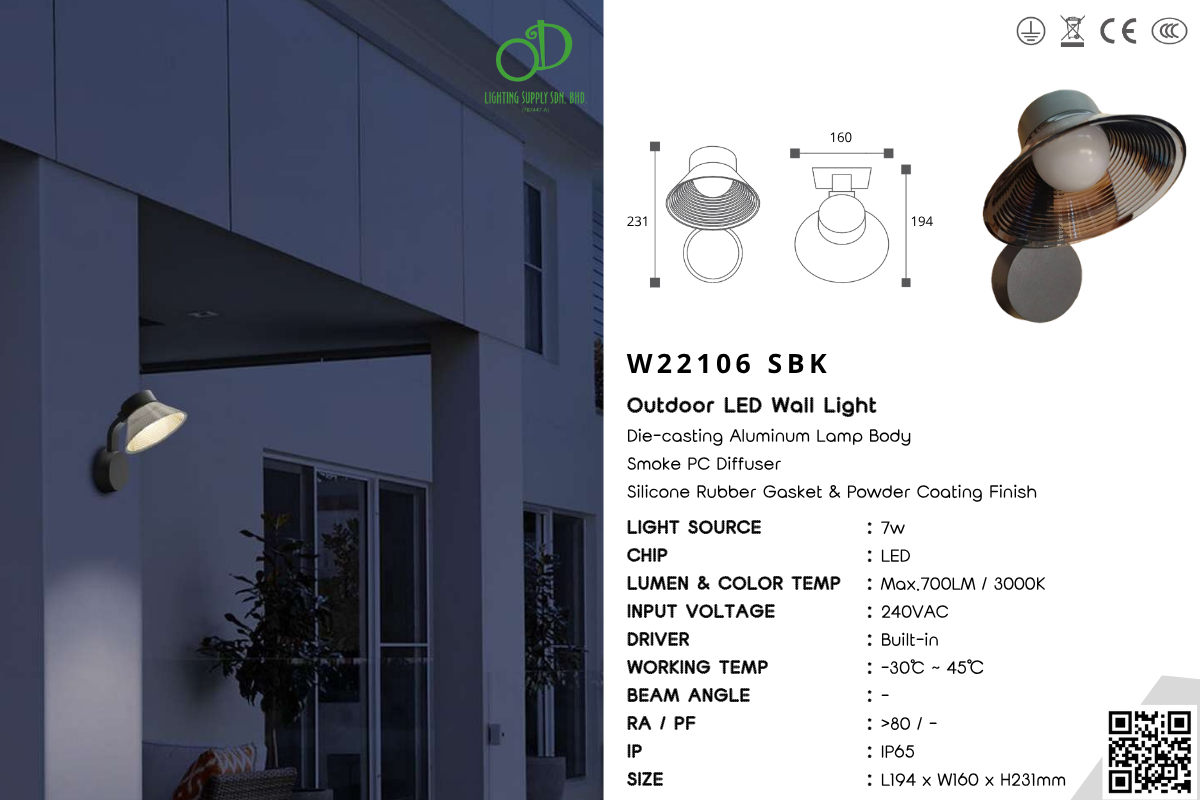 Outdoor Wall Light (W22804)