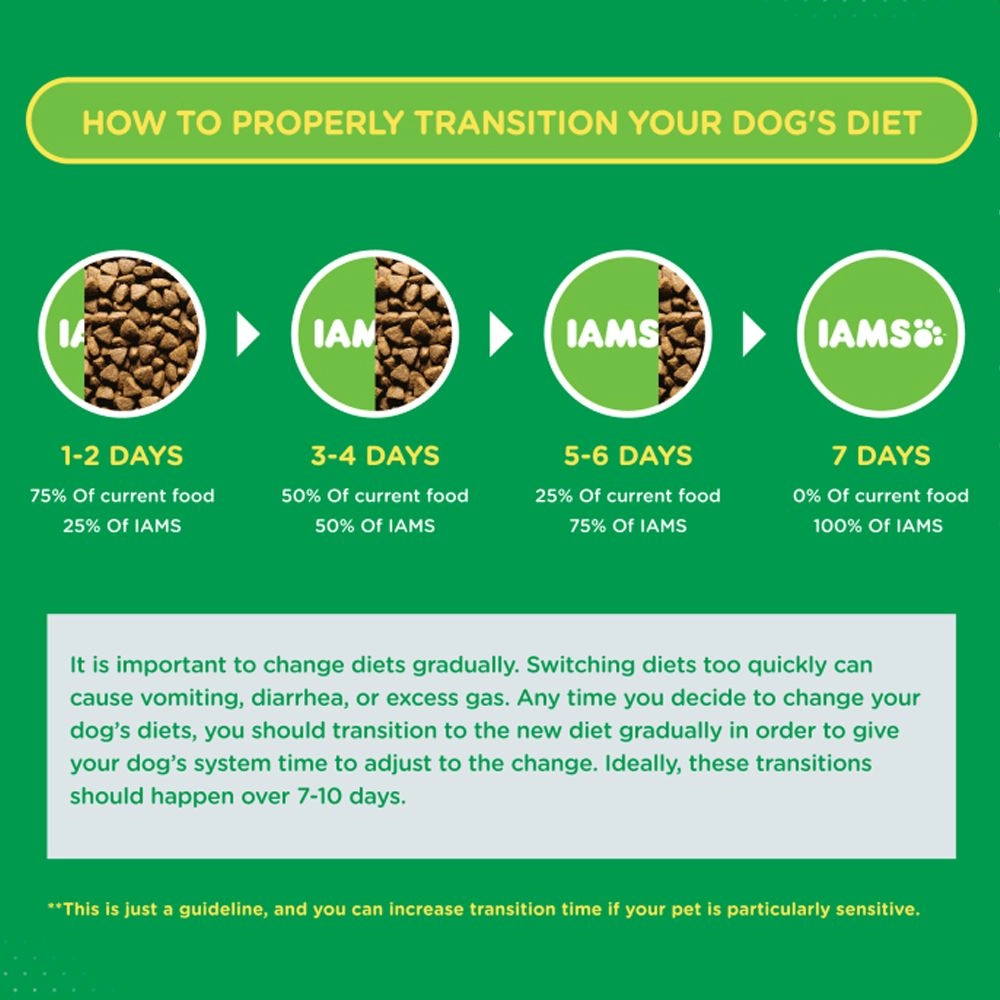 When to Transition Too Adult Dog Food: Essential Timing Tips