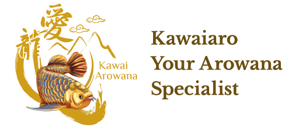 KAWAI AROWANA FARM