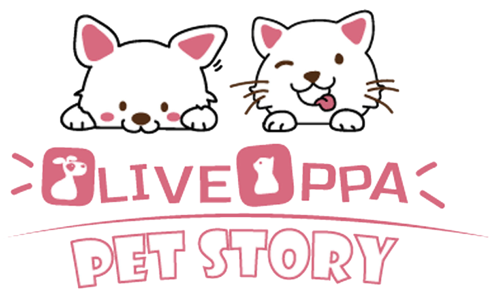 Olive & Oppa Pet Story Enterprise