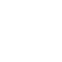 Integrity Icon