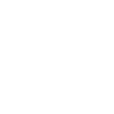 Safety Icon