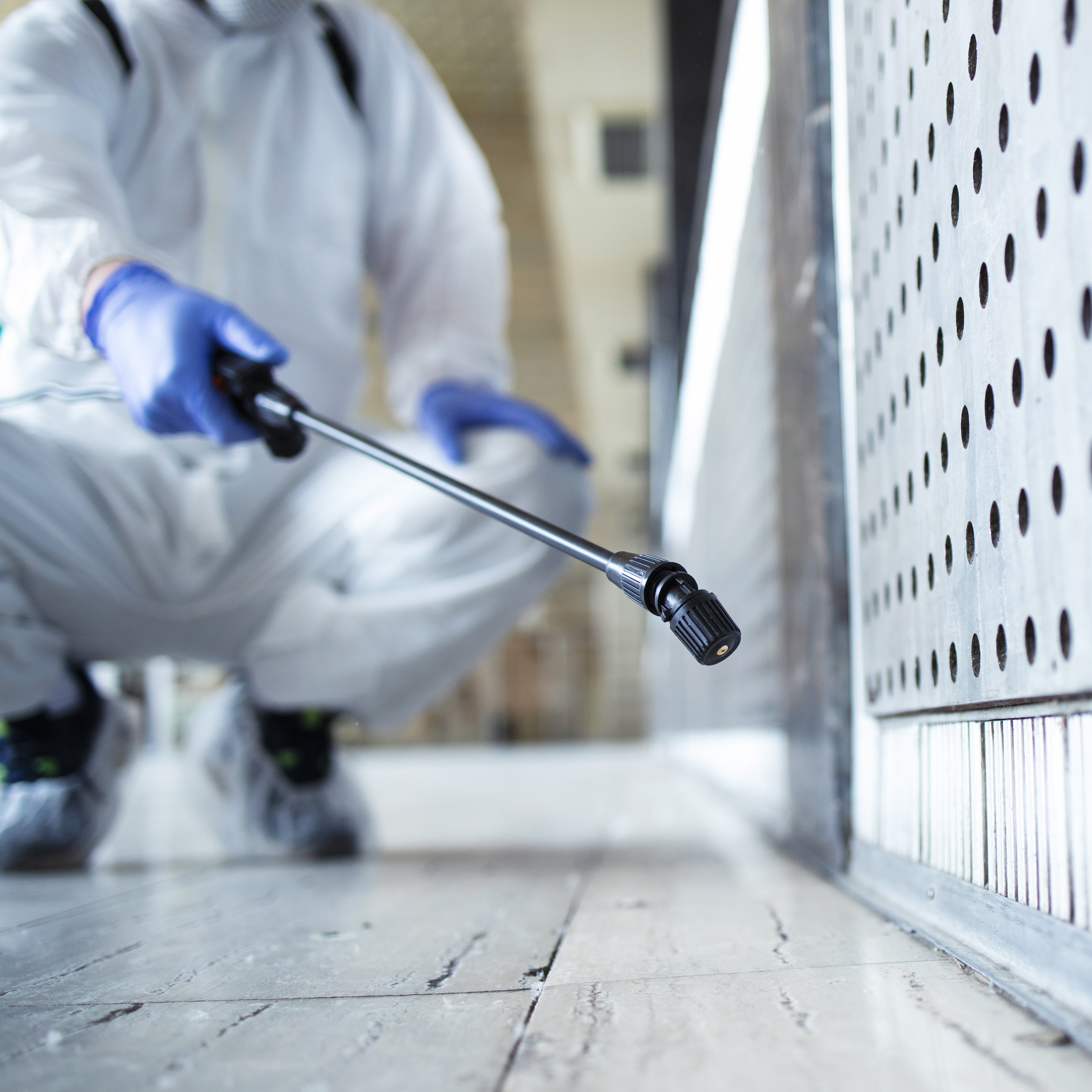 Pest Control Services