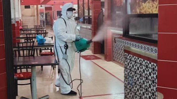 Professional Pest Management