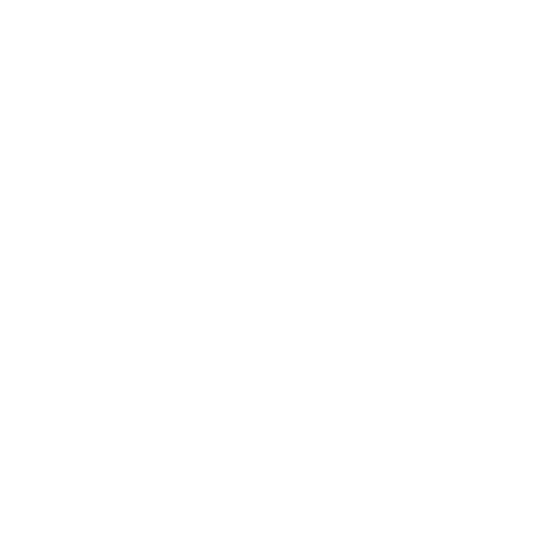 Shopee Icon