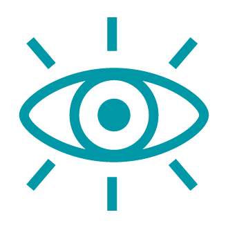 Vision Icon