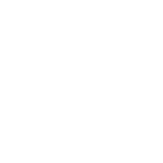 XHS