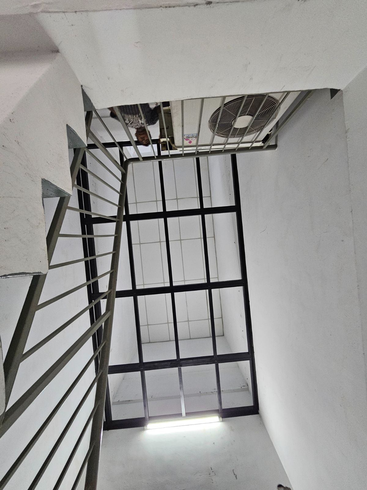 Mezzanine Floor Project