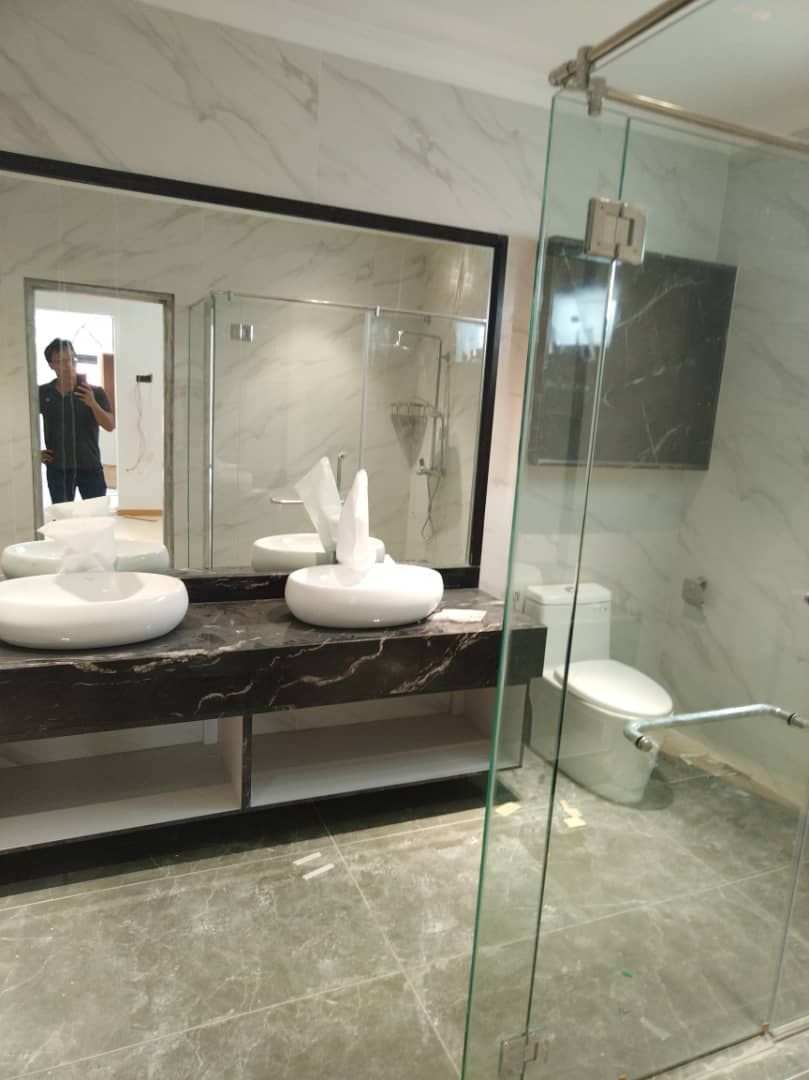 Toilet Renovation 